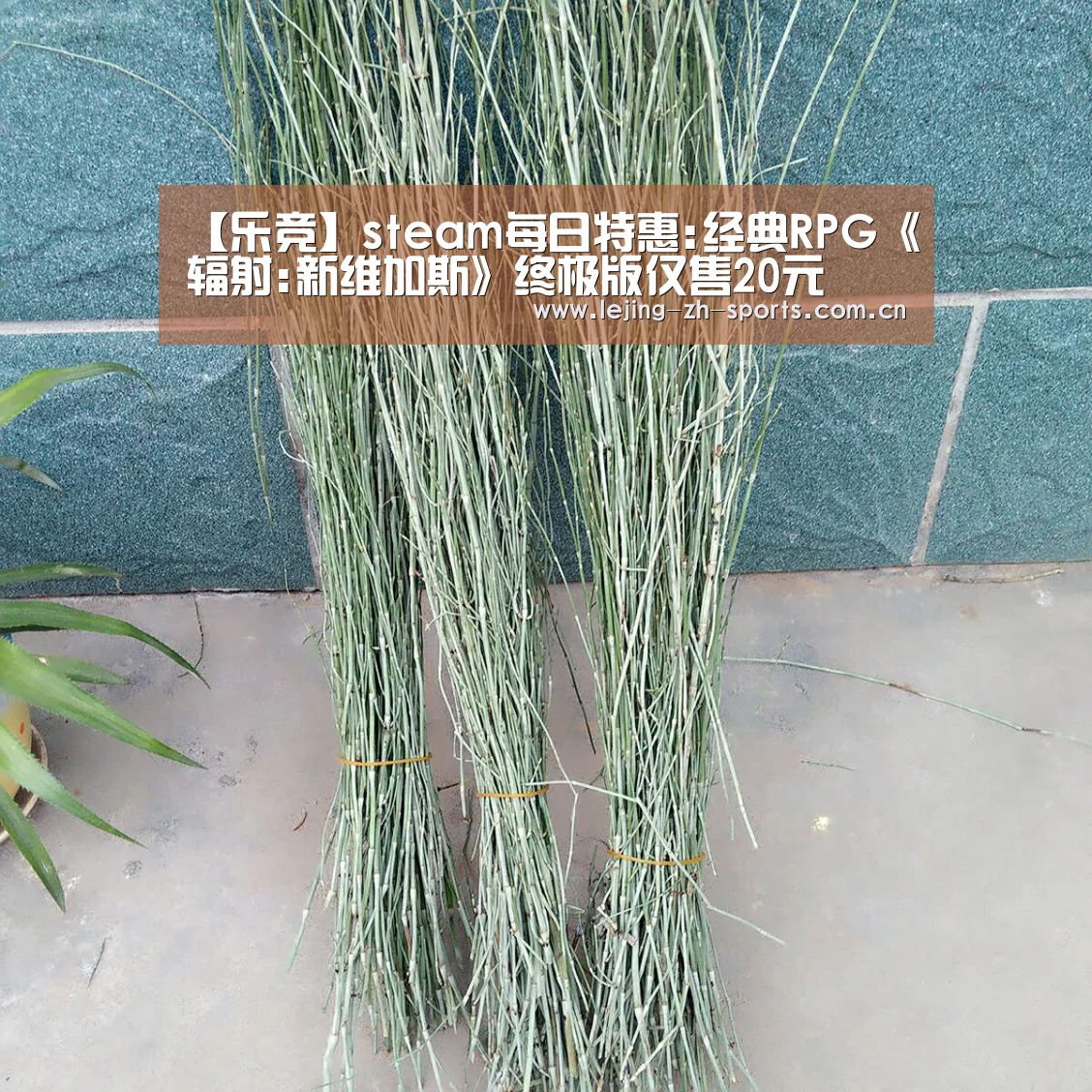 乐竞官网