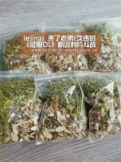 lejing:来了老弟!久违的《征服OL》新资料片斗战苍穹(图4) 乐竞