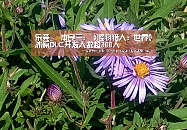 乐竞_辻本良三:《怪物猎人:世界》冰原DLC开发人数超300人(图1) 乐竞体育